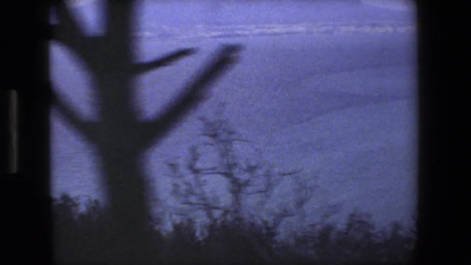 From the supplied 1973 Italy travel clip, a blurred tree trunk and branches sweep across a blue sea overlook as the camera continues moving along the coast.