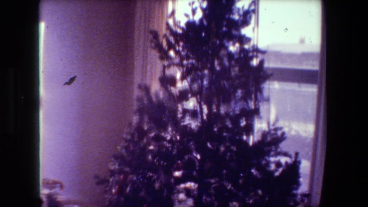 A decorated Christmas tree stands near a bright window inside a Hollywood, California home interior from the supported 1981 8mm clip, with curtains and purple film color shift visible.