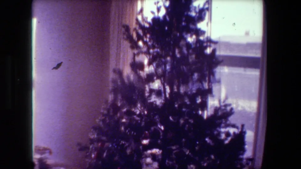 A decorated Christmas tree stands near a bright window inside a Hollywood, California home interior from the supported 1981 8mm clip, with curtains and purple film color shift visible.