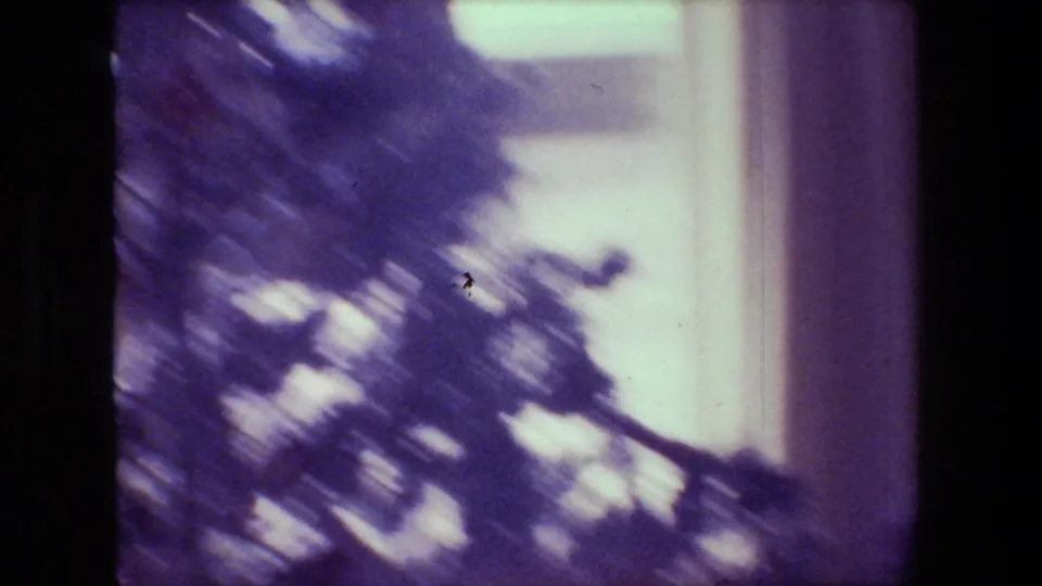 The final frame shifts into a soft blurred view of tree branches and bright exterior light through the window, maintaining the purple-tinted 8mm home-movie texture.