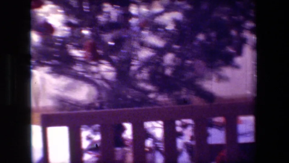 Purple-cast 8mm frame from Hollywood, California in 1981 showing a wooden fence or rail, tree branches, and pale zoo-ground areas in soft focus.