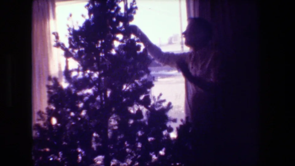 In this 1981 Hollywood, California home-movie frame, an adult man reaches toward the upper branches of the Christmas tree beside a bright curtained window.