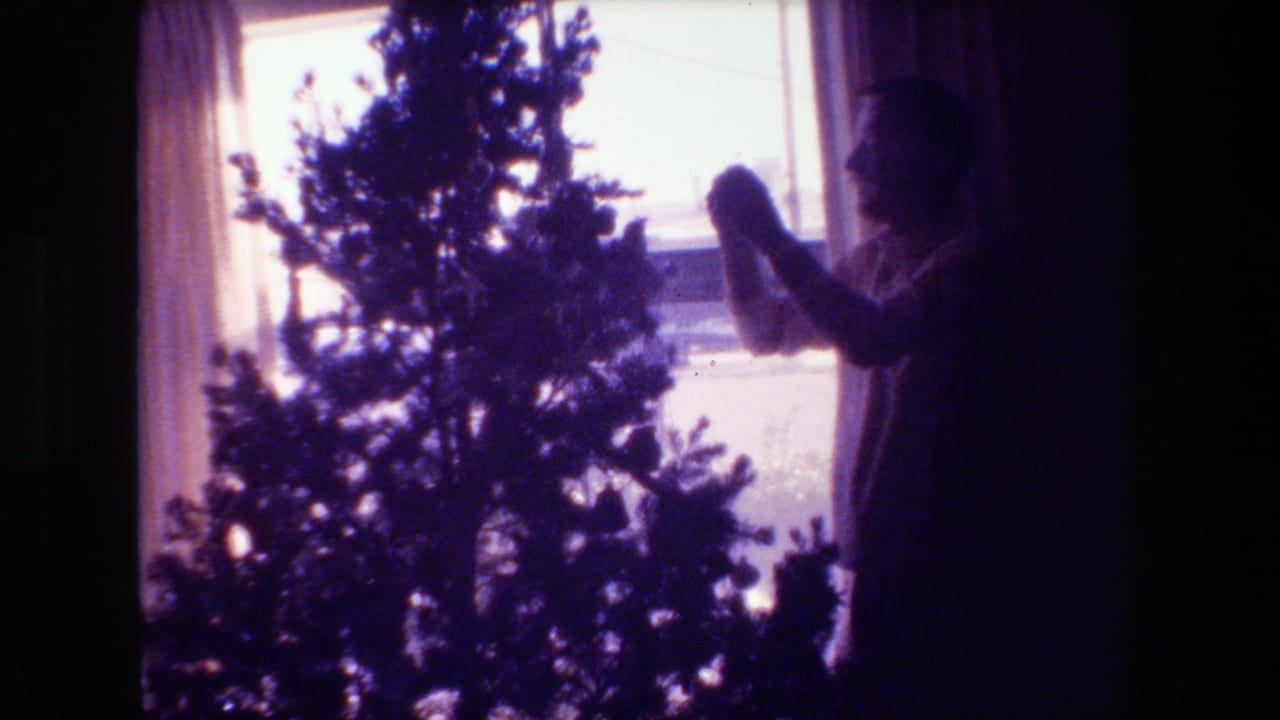 Man stands by the Christmas tree holding an ornament near the window.
