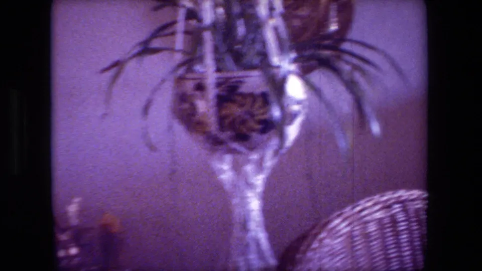 Close home-movie view of a hanging glass planter against a dim wall, with part of wicker seating visible at the edge of the 1981 Hollywood interior.