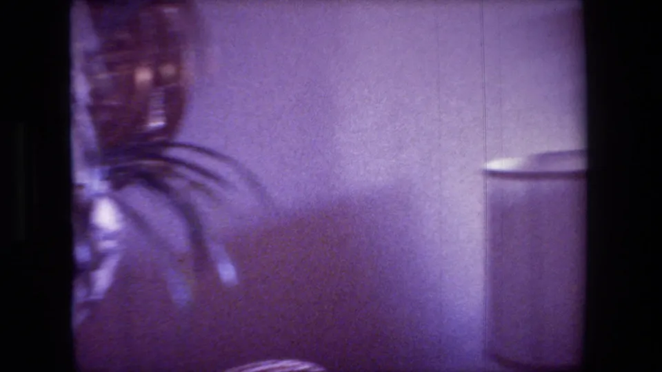 Soft, purple-cast 8mm frame inside a Hollywood living room, with a blurred hanging plant, pale wall, and tall cylindrical household object visible.