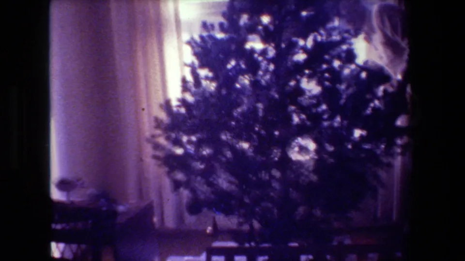 1981 Hollywood, California home-movie frame showing a Christmas tree near bright curtains, ornaments, and a partially visible person at the right edge of the living room scene.