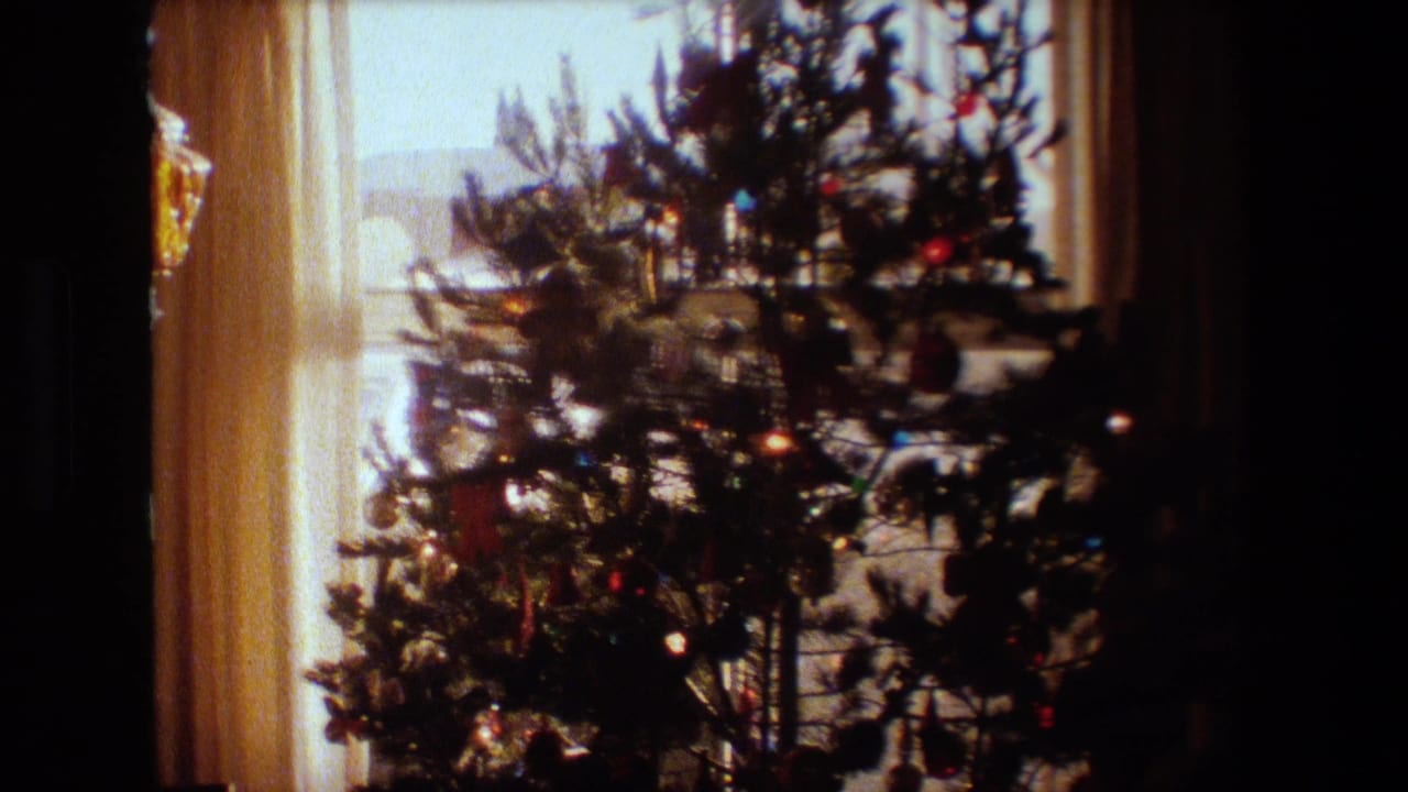 Christmas tree with ornaments and lights silhouetted against a bright curtained window.