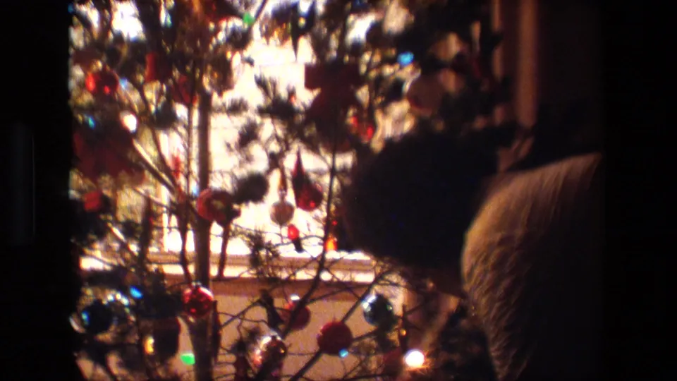 The decorated tree fills the foreground while a partial human silhouette appears at the right edge of the dim 1981 Lansing living-room frame.
