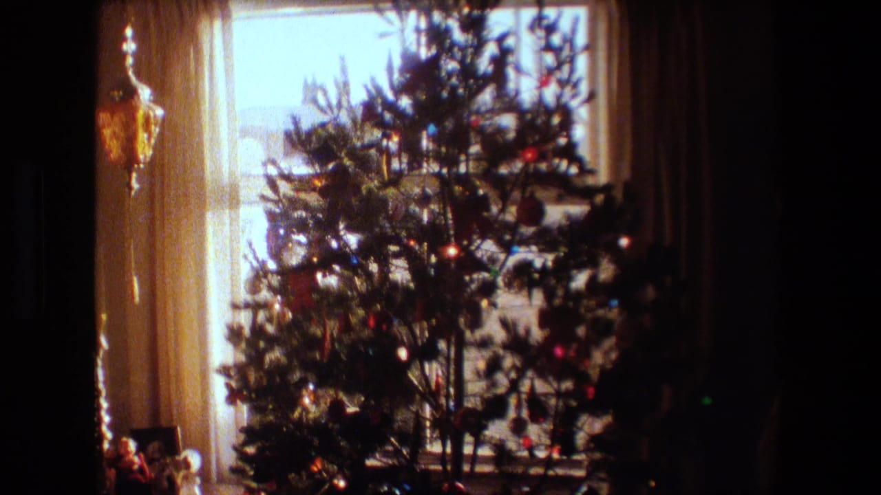 Decorated Christmas tree beside a bright window in a dim home interior.
