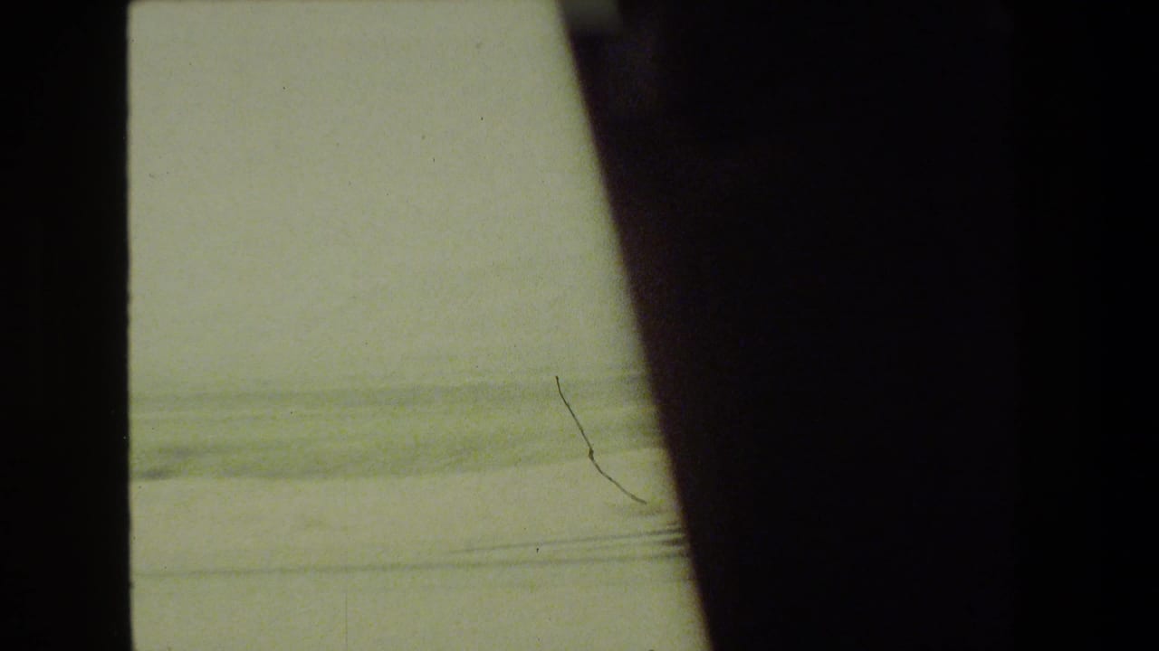 Hazy open landscape divided by dark vehicle interior framing.