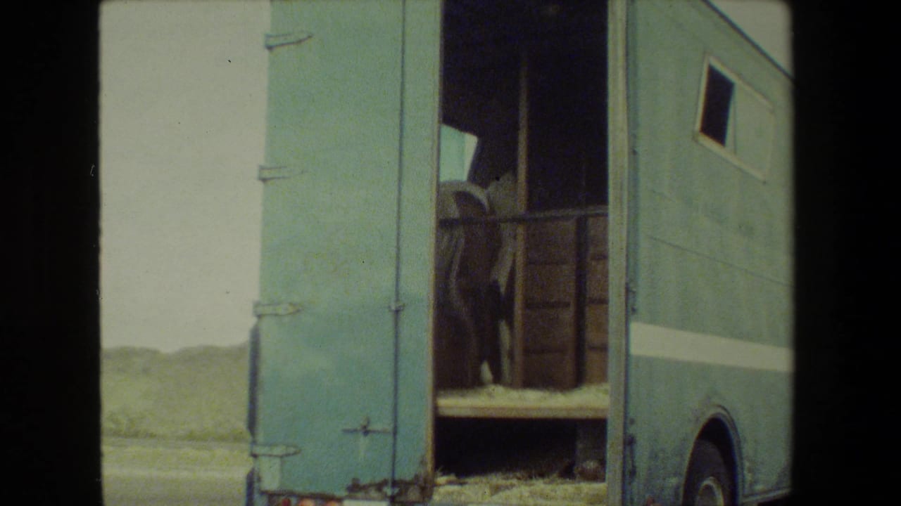 1981 8mm frame showing a light blue horse trailer with its rear doors open and a horse standing inside near an arid roadside landscape.