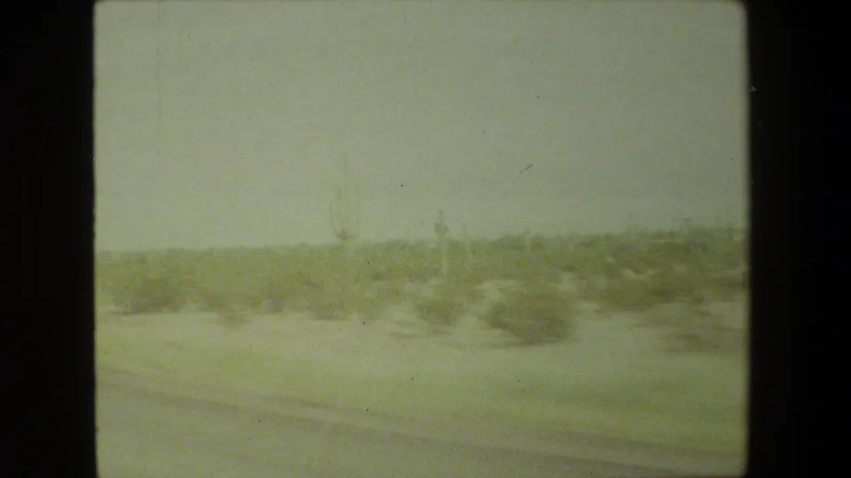 1981 8mm frame showing a soft, motion-blurred arid roadside with low vegetation and faint cactus-like shapes in the distance.