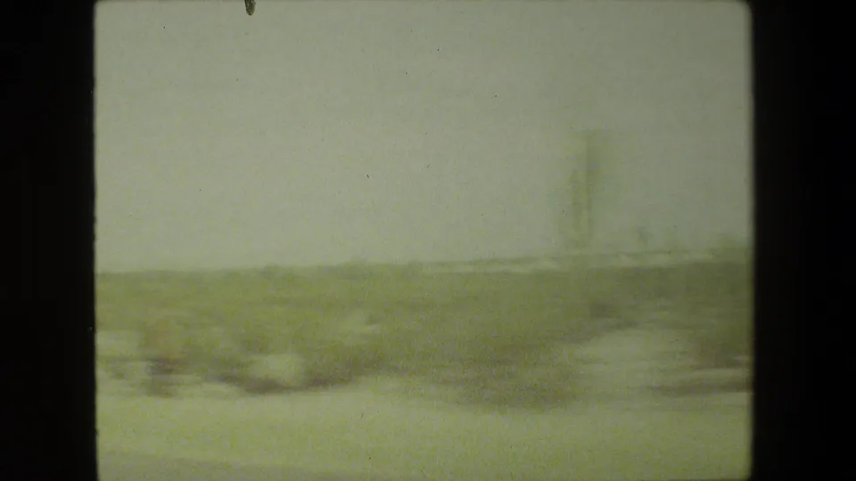 1981 8mm frame of a hazy arid landscape with scrub vegetation and a tall cactus-like form near the right side of the frame.