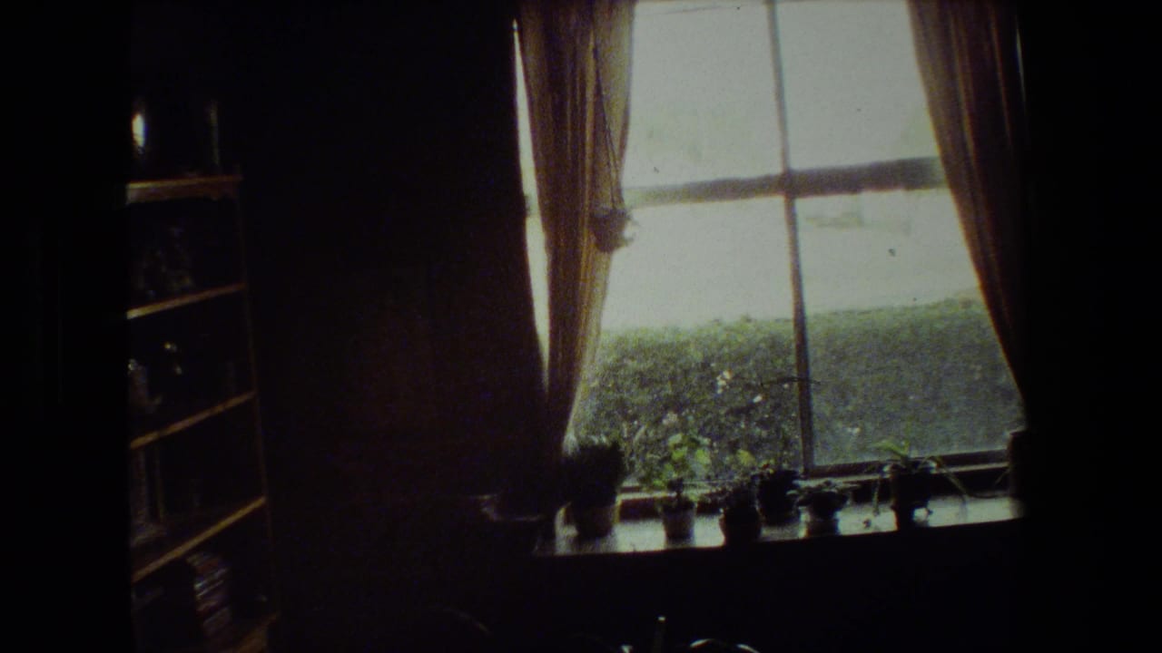 Dim interior with a curtained window, potted plants on the sill, outdoor greenery, and a shelving unit at left.