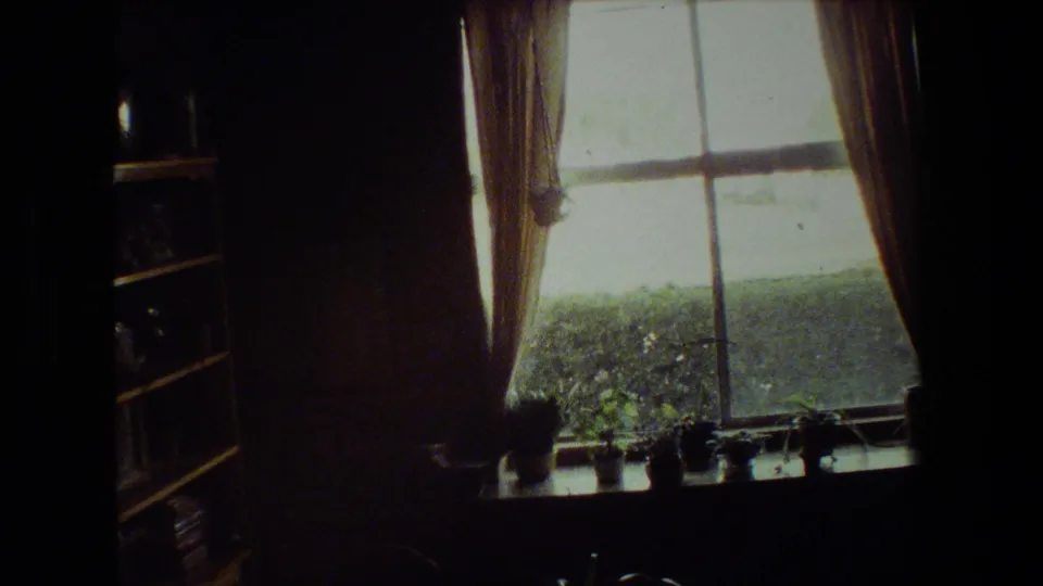 In a 1981 Malibu home-movie frame, a dim private interior looks toward a large curtained window with potted plants on the sill and greenery outside.