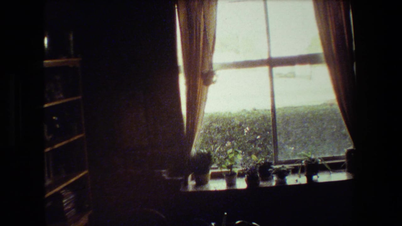 A softly exposed 1981 Malibu interior frame shows a curtained window, plants along the sill, and bright greenery beyond the glass.