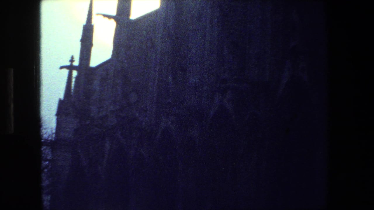 Dark cathedral facade with spires and bare tree branches near the edge of frame.