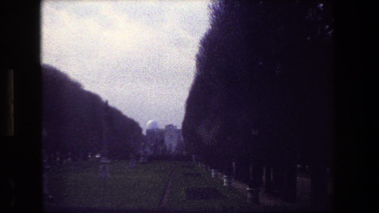 Cemetery walkway receding between dark trees with grave markers in the distance.