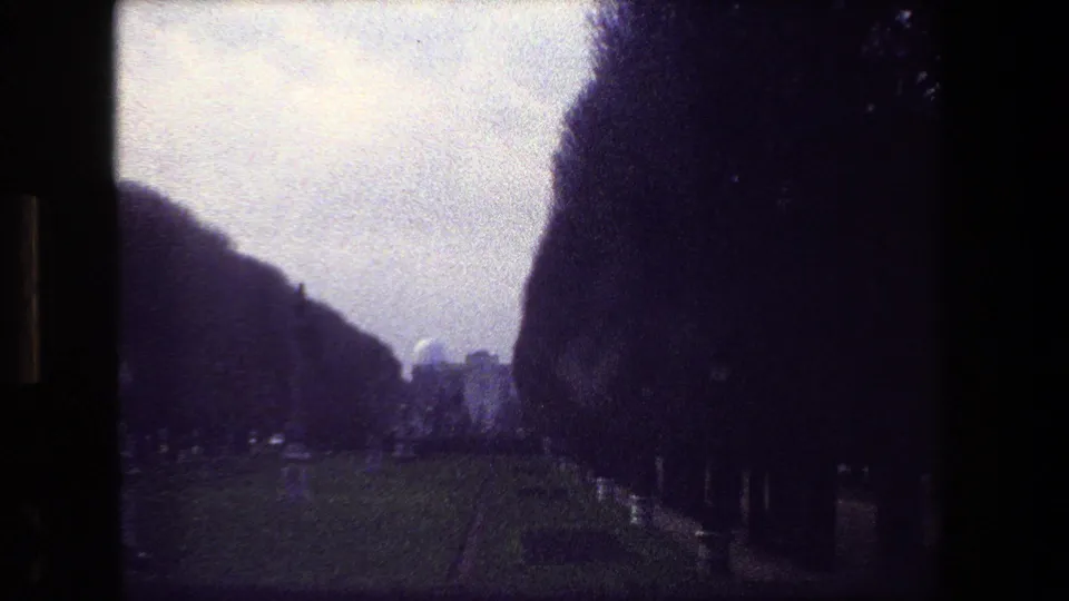 Paris, France 1981 frame with a central cemetery walkway, dense tree borders, distant grave markers, and soft purple-tinted film grain.