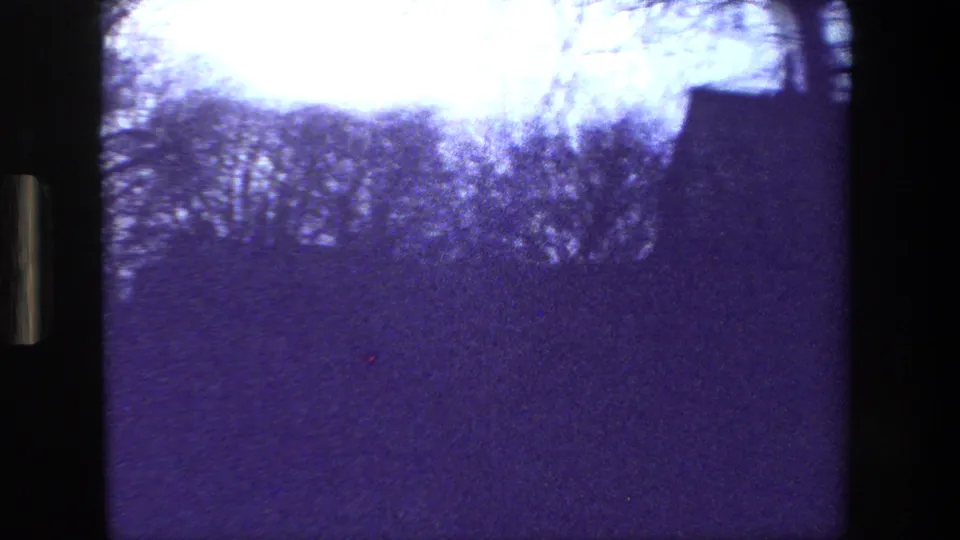 Blurry exterior glimpse in the supplied 1981 Paris home-movie clip, showing bare trees, a bright sky, dark foreground, and purple-tinted film texture.
