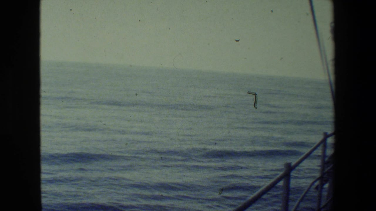 A shipboard view looks out across calm ocean water under a pale sky, with railings and deck edges framing the right side of the 8mm frame.