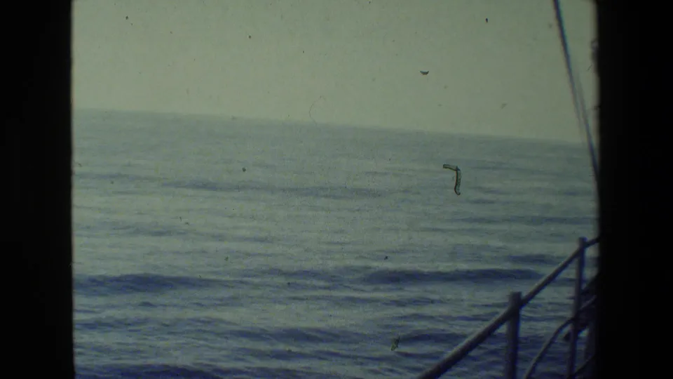 A shipboard view looks out across calm ocean water under a pale sky, with railings and deck edges framing the right side of the 8mm frame.