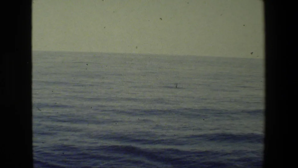 Vintage 8mm frame of calm ocean water stretching to a distant horizon, with subdued color and light film wear visible across the scan.