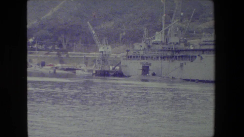A large vessel sits near pier structures and cranes, with rippled water in the foreground and a hillside rising behind the harbor.