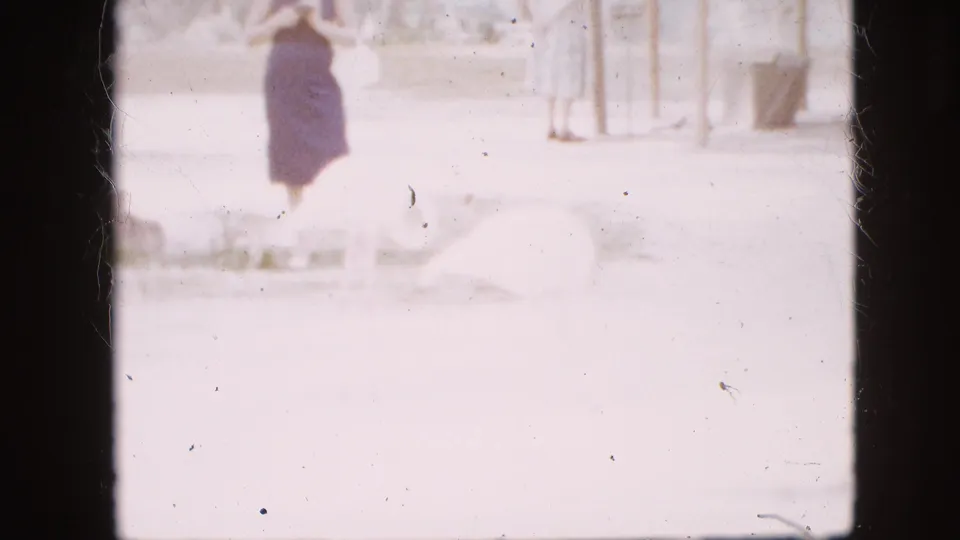 1958 Pennsylvania 8mm frame showing a woman in a dark dress watching pale flamingos in an overexposed outdoor zoo exhibit with visible film dust and gate borders.