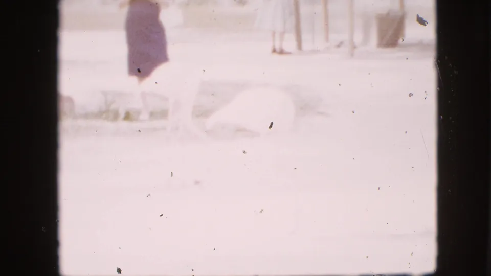 1958 Pennsylvania home-movie frame with a woman at the top of the shot and a pale flamingo moving through the bright zoo enclosure below.