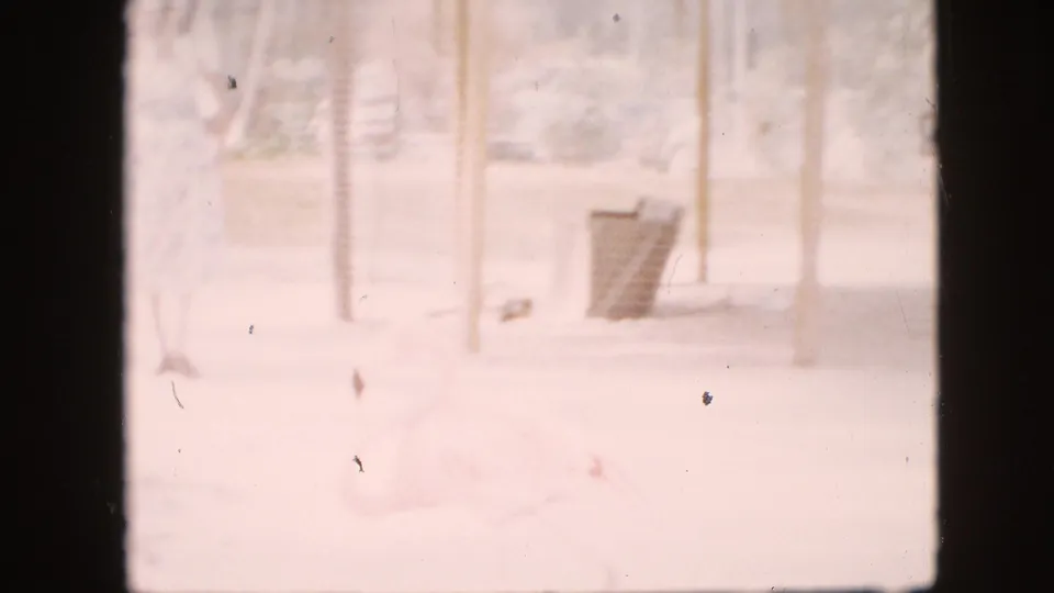 Soft, pink-tinted 1958 Pennsylvania home-movie frame showing an overexposed path area with trees, rail fencing, and a large pale bird partly visible near the bottom.