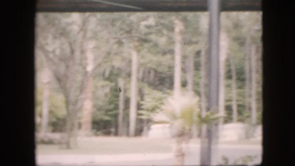 1958 Pennsylvania home-movie frame with dark window framing and a hazy outdoor view of trees, palm-like plants, shrubs, and a light ground surface.