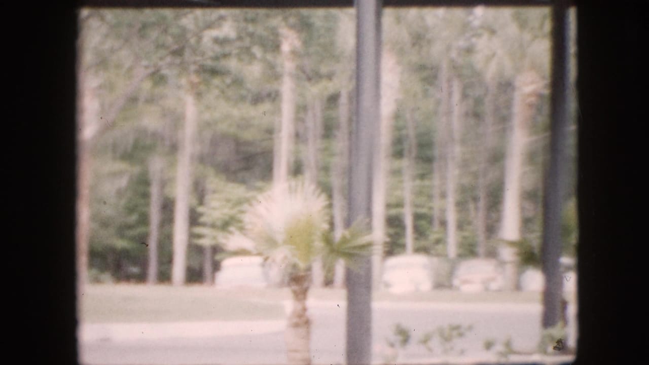 1958 Pennsylvania 8mm frame looking through dark window mullions toward sunlit grounds with palm-like plantings, tall tree trunks, and pale shapes in the distance.