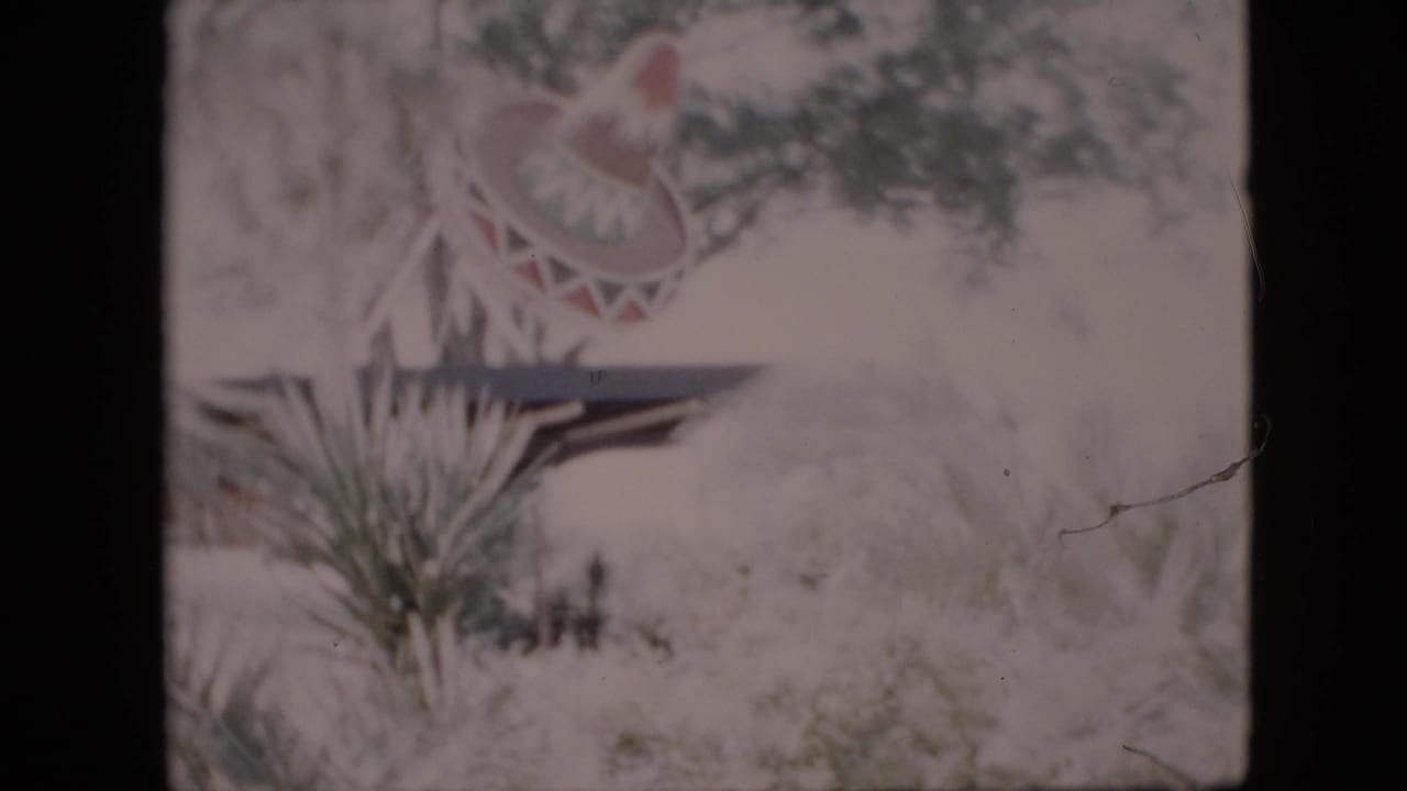 Colorful sombrero-style decoration above bushes and leafy plants outdoors.