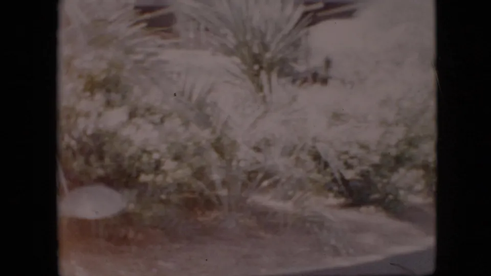 A soft, overexposed garden view shows leafy plants, bushes, and a low edge or path in the 1958 Pennsylvania home-movie footage.