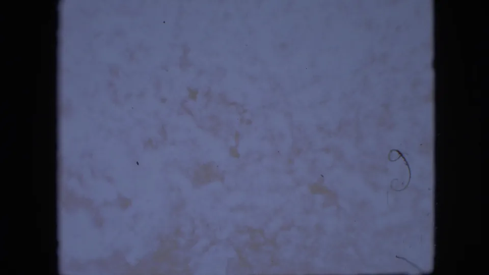 A purple-blue abstract 8mm frame from the 1958 Pennsylvania clip, showing mottled texture, dust specks, small scratches, and dark film borders.