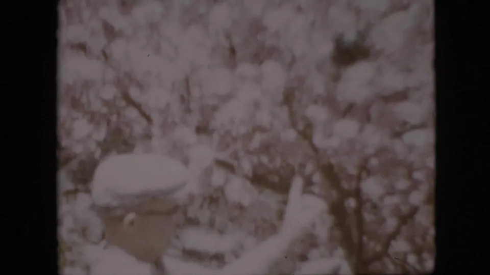 1958 Pennsylvania home-movie frame with an adult man in a white cap and glasses standing under pale blossoms and looking upward.