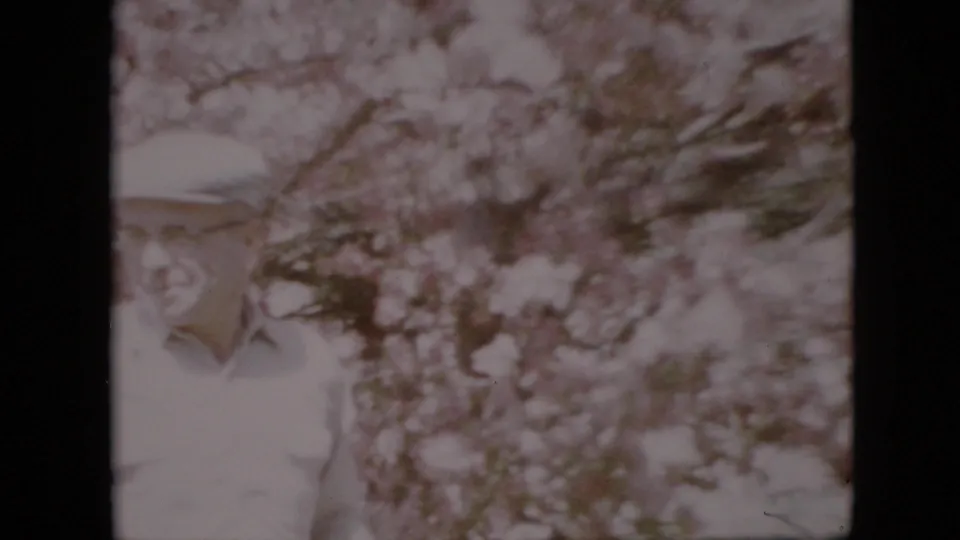The adult man is visible at the left edge under dense pale blossoms, continuing the handheld 8mm view of a Pennsylvania spring grove.