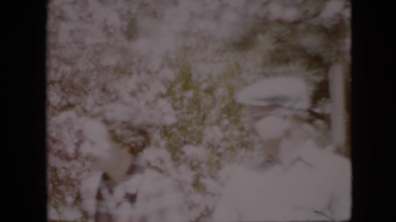 In a 1958 Pennsylvania 8mm home-movie frame, two older adults appear softly in view among pale blossoms and wind-blown branches.