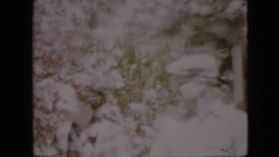 In a 1958 Pennsylvania 8mm home-movie frame, two older adults appear softly in view among pale blossoms and wind-blown branches.