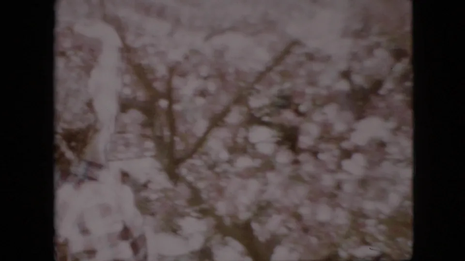 An adult figure stands partly at the edge of a 1958 Pennsylvania home-movie frame as flowering trees and soft foliage dominate the view.