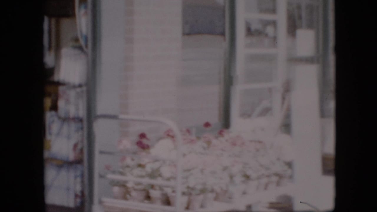 Glass storefront with flowers, shelves, and doorway framing.