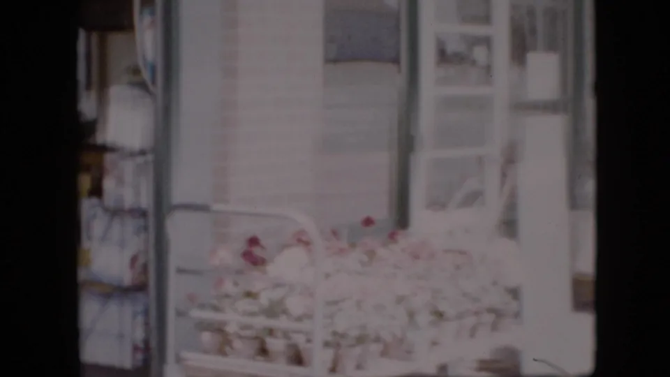 Soft 8mm view of a Pennsylvania grocery storefront with flower arrangements, interior display shelving, and vertical glass door frames.