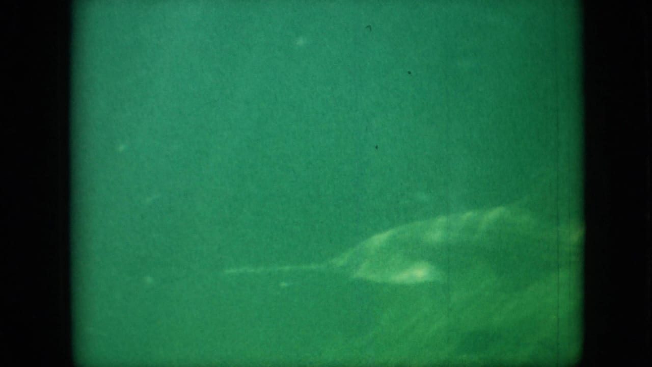 Green-tinted underwater 8mm frame showing a large, indistinct marine creature or fish shape moving through murky water.