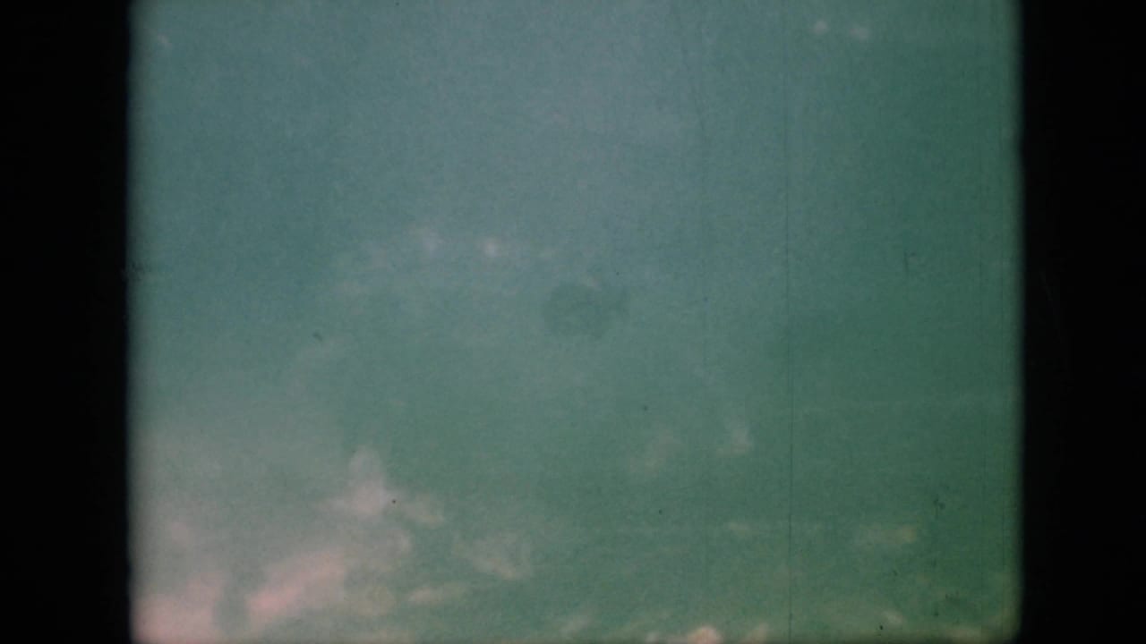Green-tinted 1958 8mm underwater footage from Pennsylvania showing soft cloudy water texture, dark frame edges, and no clearly visible animal in this moment.