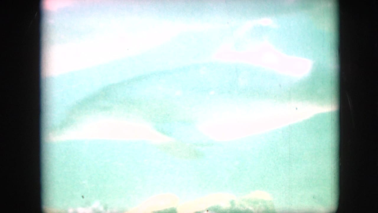 Bright green underwater view with pale shapes and heavy exposure bloom.