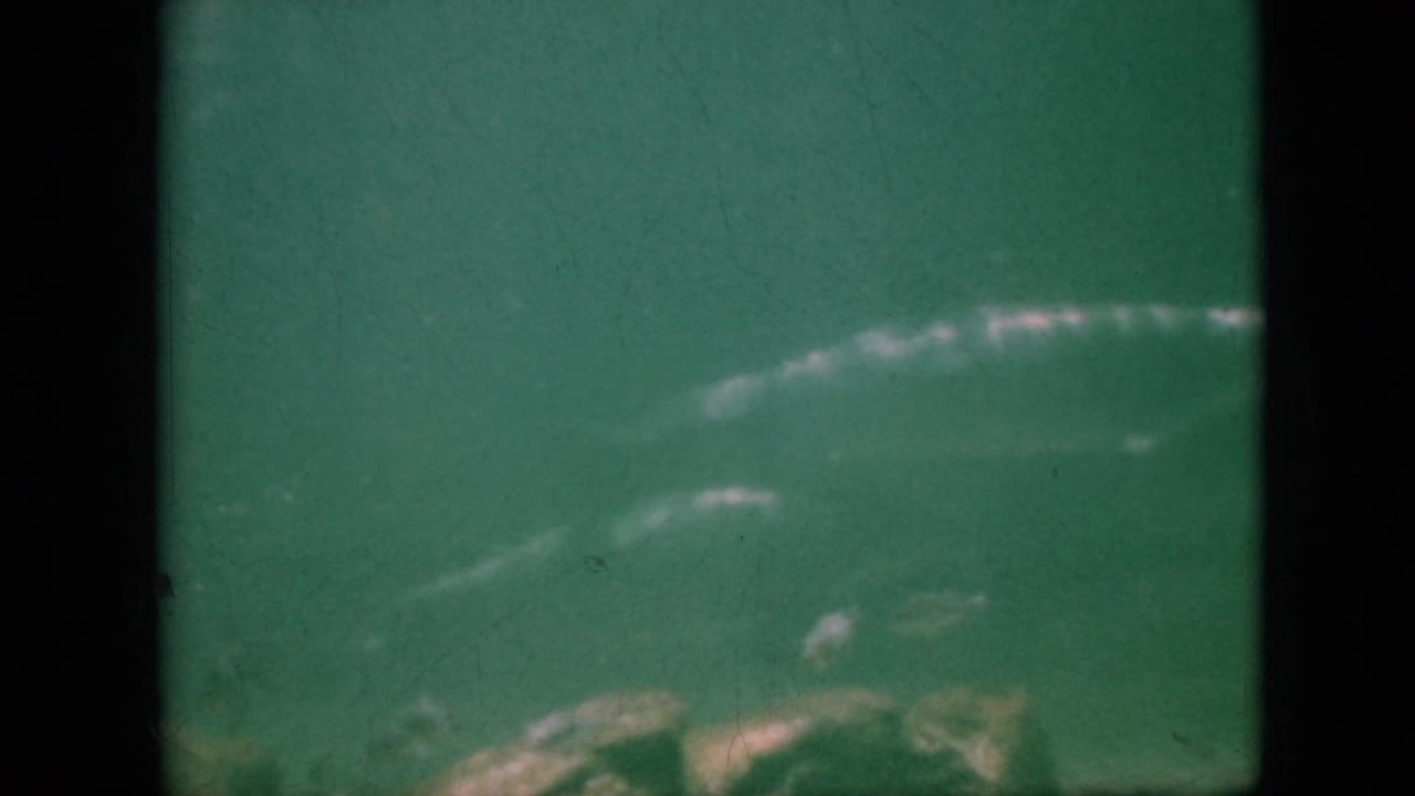 A dolphin moves through green-tinted underwater footage, with rocks below and soft 8mm film grain visible in the 1958 home-movie frame.