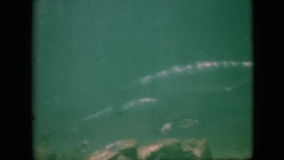 A dolphin moves through green-tinted underwater footage, with rocks below and soft 8mm film grain visible in the 1958 home-movie frame.