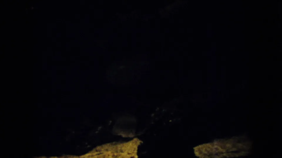 Low-light 1958 Pennsylvania 8mm frame with a slender fish-like form crossing a dark underwater or aquarium setting above pale rocks.