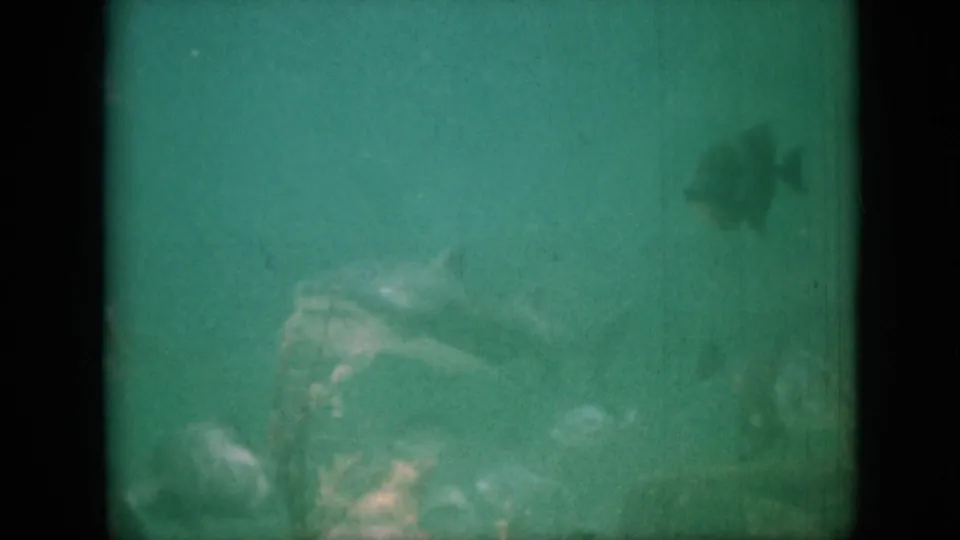 1958 Pennsylvania 8mm frame showing fish silhouettes in green aquarium water, with a dark fish at upper right and diffuse underwater shapes below.